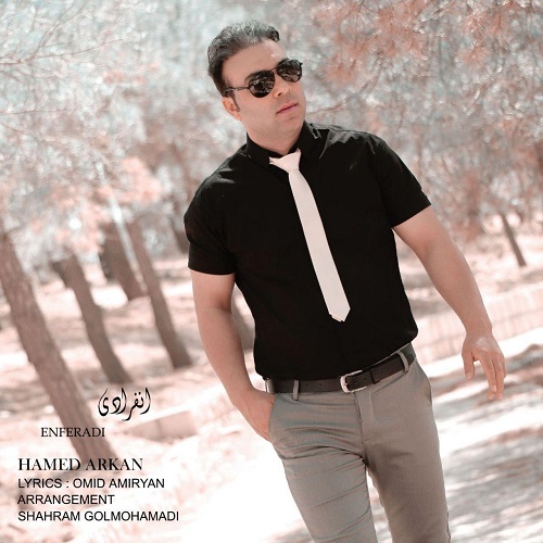 حامد ارکان انفرادی